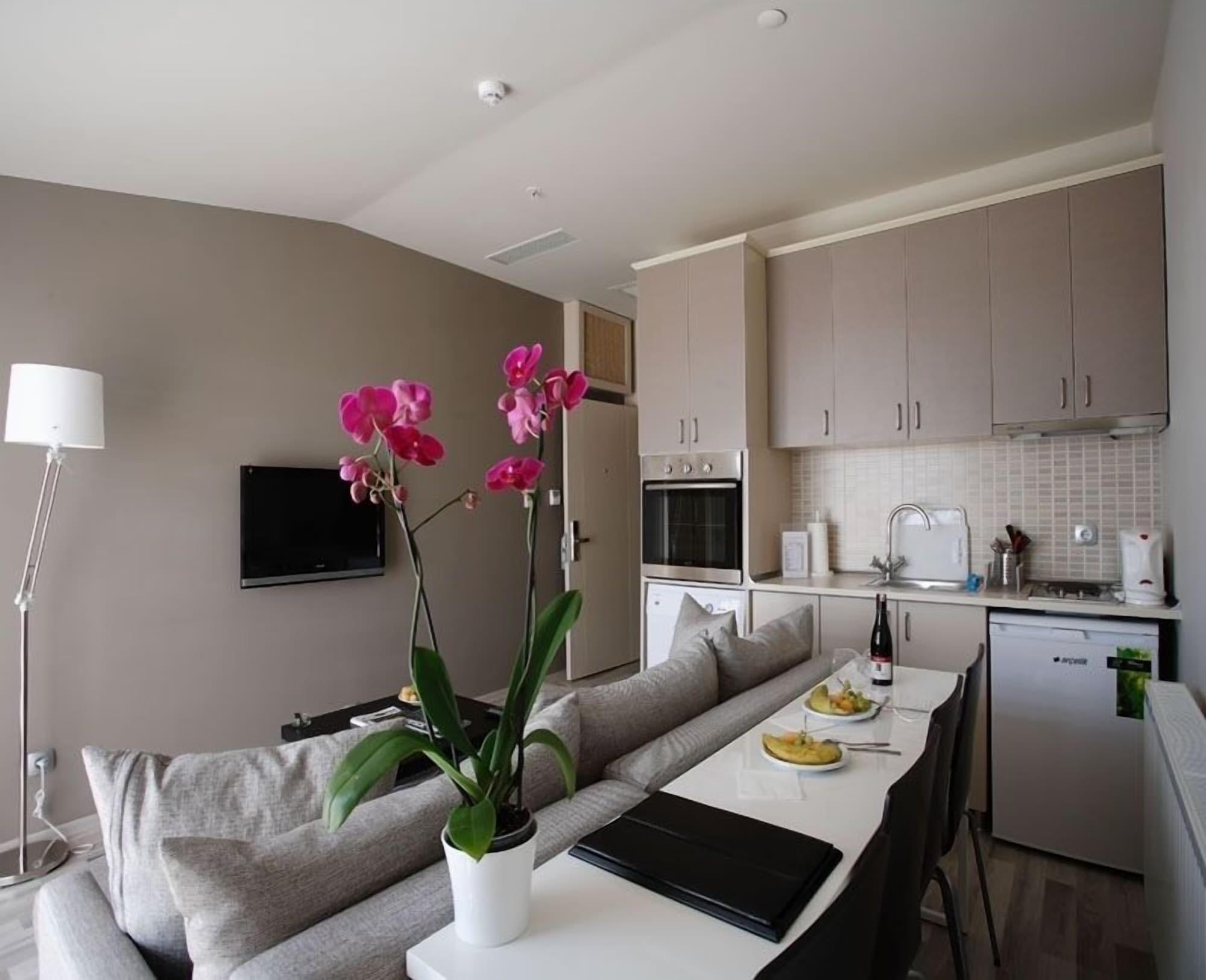 Home Stay Home Sisli Istambul Extérieur photo